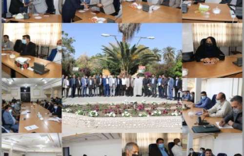 سرپرست مدیریت توسعه بازرگانی سازمان معرفی شد